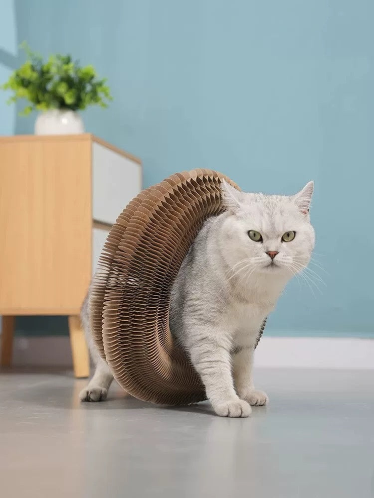 Folding Pet Scratch Toy