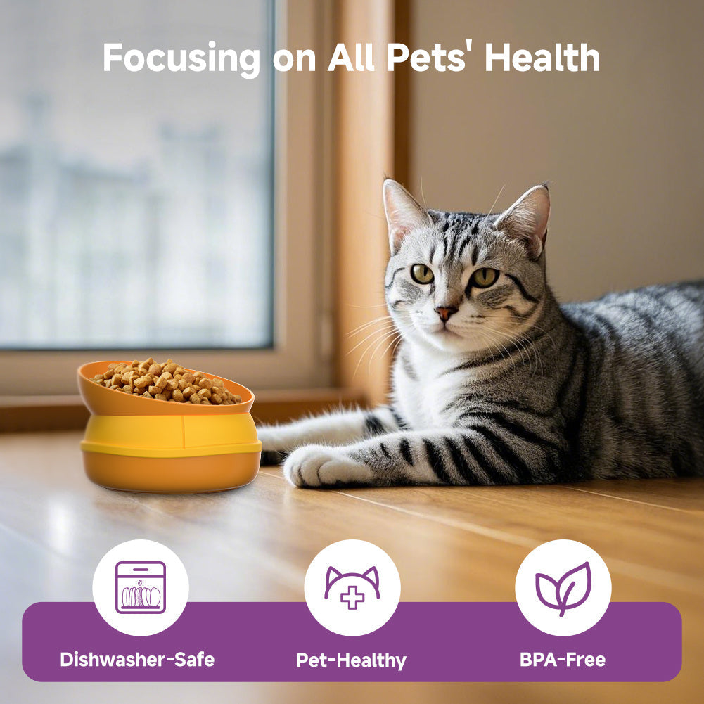 Pet Multi-Functional Five-In-One Bowl